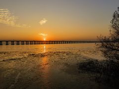 -宝安西湾红树林湿地公园