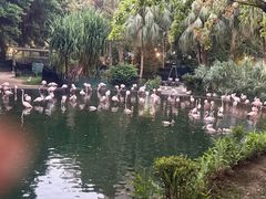 -九龙公园