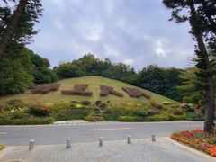 -深圳仙湖植物园