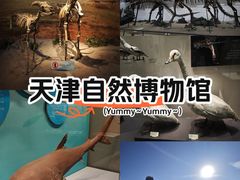 -天津自然博物馆