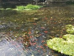 -水磨沟公园