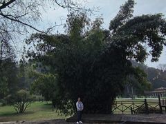 -贵州省植物园