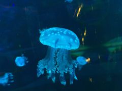 -鄂尔多斯野生动物园