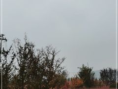 -羊亭河湿地公园