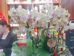 -湘寶缘(育英中学店)