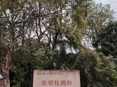 景点-张坝桂圆林公园