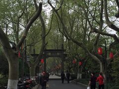 -杭州黄龙洞