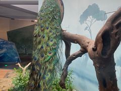 -长江文明馆
