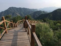 -大岭沟猕猴桃谷风景区