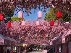 -南汇桃花村