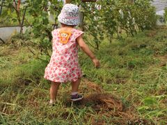 -阿林有机农庄