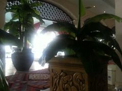 android_upload_pic-月亮河温泉度假酒店