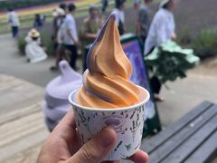 -富田农场