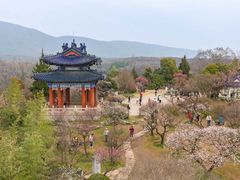 -梅花山(明孝陵内)
