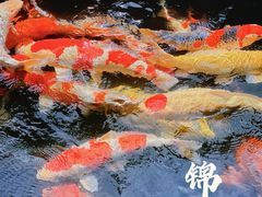 -西安市广仁寺