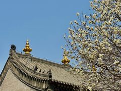 -护国法轮寺