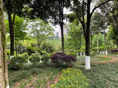 -龙头寺公园