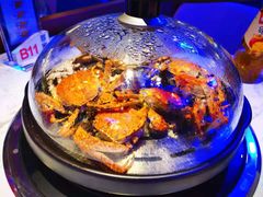 -半岛听涛蒸汽海鲜自助(K11店)