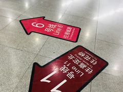 -东方体育中心(地铁站)