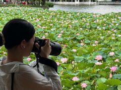 -荔湾湖公园