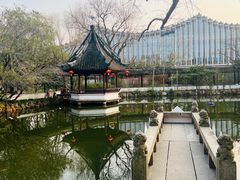 -上海醉白池公园