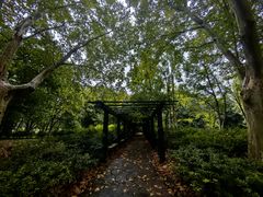 -上海共青森林公园