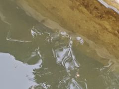 -晓港公园