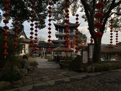-无锡蠡湖国家湿地公园-蠡园