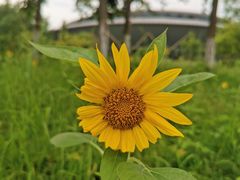 -杭州城北体育公园