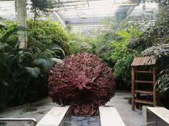 -龙达温泉生态城