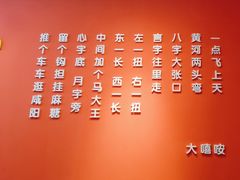 -大嘻咹biangbiang面(历史博物馆店)