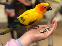 -北京野生动物园