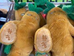 -敦煌莫高国际机场