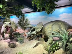 -国家自然博物馆