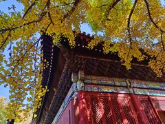 -红螺寺