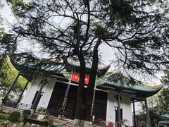 -古琴台