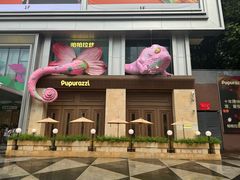 -帕帕拉兹宠物(亚洲旗舰店)