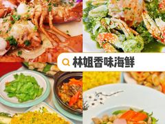 -椰梦长廊