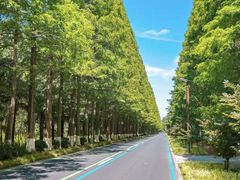 -黄海国家森林公园