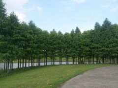 -同济大学(嘉定校区)