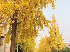 -四川大学(华西校区)