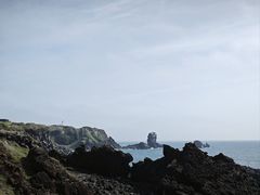 -涉地可支