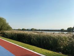 -贡湖湾湿地公园