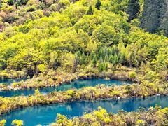 -九寨沟-树正沟