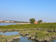 -洛阳桥