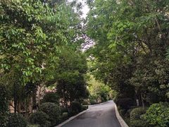 -红河谷晴天别墅轰趴馆
