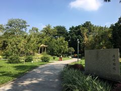 -晓港公园