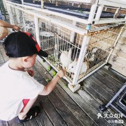 -小蜜蜂农场(凯德七宝购物广场店)