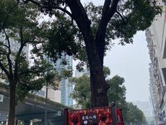 -火宫殿·湘菜小吃·商务宴请·生日聚会(东塘店)