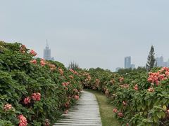 -深圳湾万象城